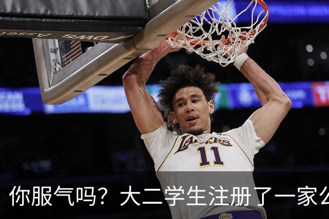你服气吗？大二学生注册了一家公司，员工名单上只有他自己，而他一年营收达到了60万