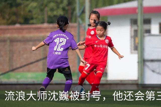 流浪大师沈巍被封号，他还会第三次复出么？